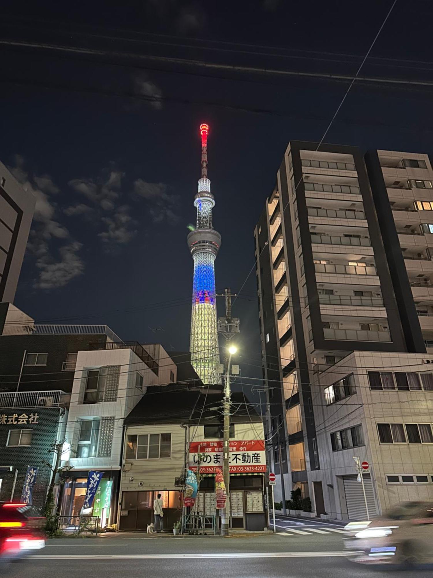 Wise Park Mukojima Apartment Tokyo Bagian luar foto