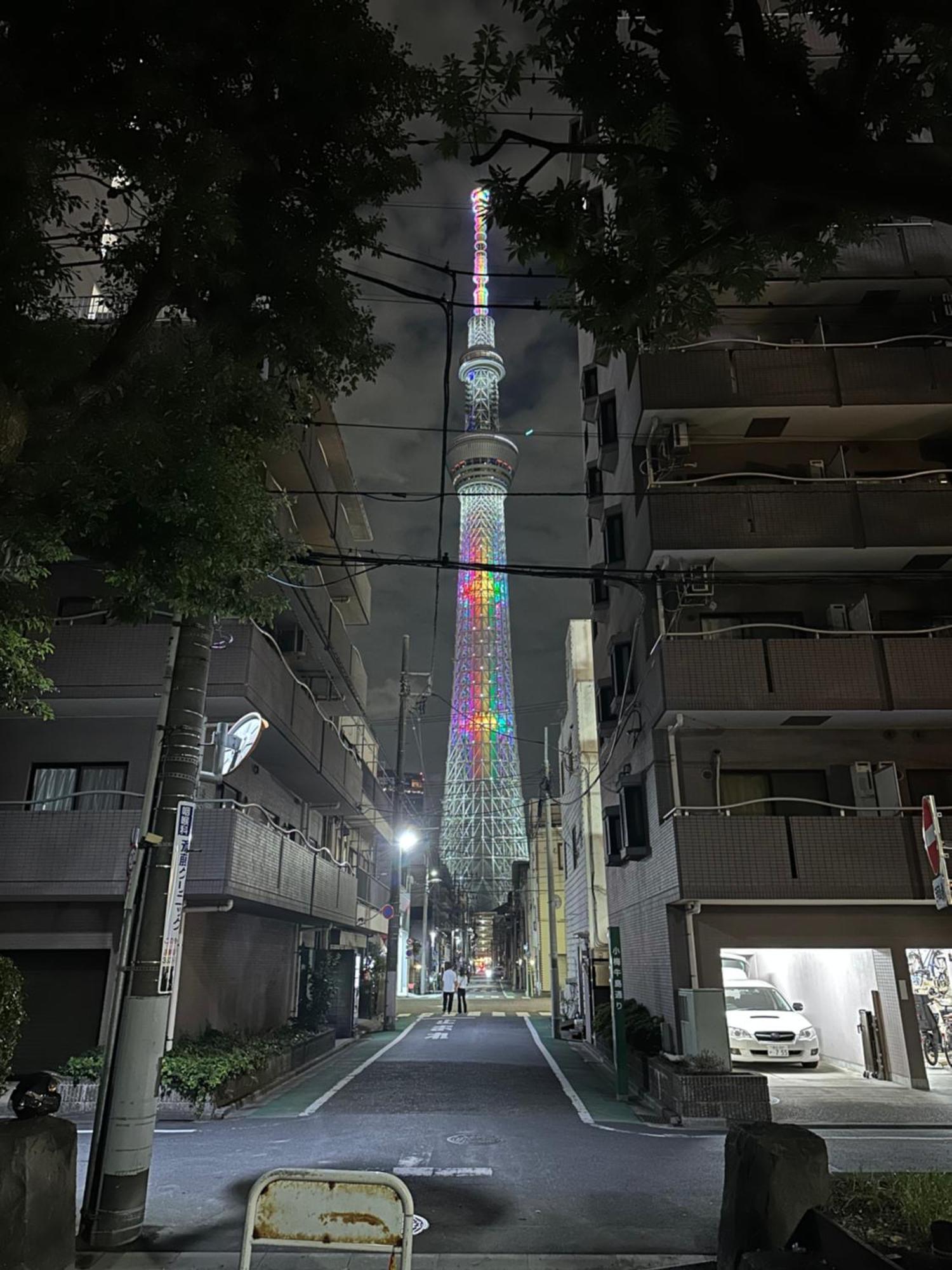Wise Park Mukojima Apartment Tokyo Bagian luar foto